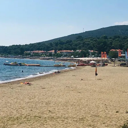 Koralli