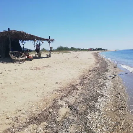 Koralli *
