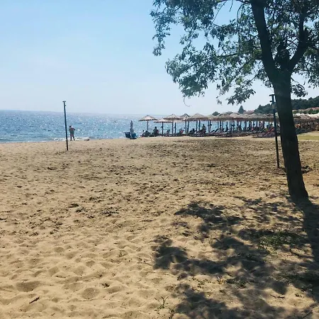 Koralli * Psakoudia