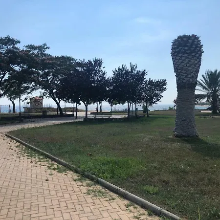 Koralli * Psakoudia
